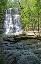 The Cascata dell'Alferello, the waterfall of the Alferello stream, in the Foreste Casentinesi