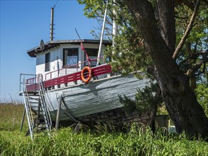 Fishing boat ashore as holiday home, Achterwasser near Ãœckeritz, Usedom island, Mecklenburg,