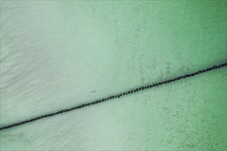 Groyne at a sandy beach, Baltic sea, aerial view, Mecklenburg-Western Pomerania, Germany, Europe