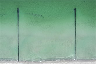 Groynes at a sandy beach, Baltic sea, aerial view, Mecklenburg-Western Pomerania, Germany, Europe