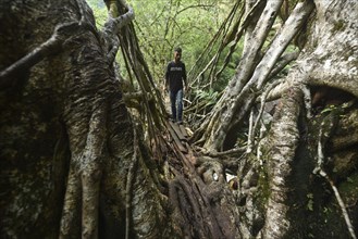 Tourists at the Bouble decker living root bridge amid COVID-19 coronavirus pandemic, in Nongriat