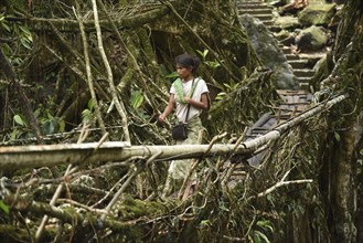 A villager walking on the Bouble decker living root bridge, in Nongriat village in Northeastern