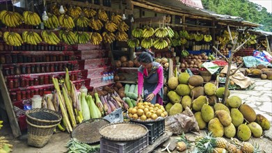 Women street vendor selling fruits, vegetables and locally made pickles at Guwahati to Shillong