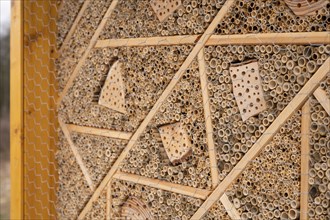 Close-up of a bee Hotel, environmental Protection, save insects made of yellow colored wood