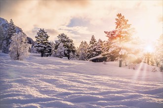 Beautiful Snow Landscape background during sunrise with sunbeam, a cabin and trees, plenty of snow