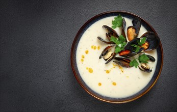 Chowder cream soup with mussels, American cuisine, homemade, no people