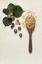 Wooden spoon with hazelnut flour, top view, no people, on a white table