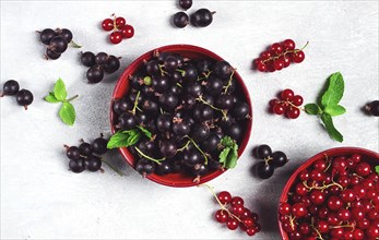 Bowls with berries, black and red currants, top view, food concept, no people