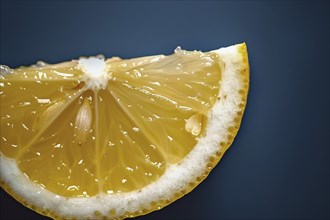 Close up of lemon slice with seeds on dark background. Generative Ai, AI generated