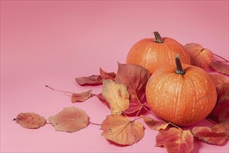 Two orange pumpkins and colorful autumn leaves on pink background with copy space. Generative Ai,