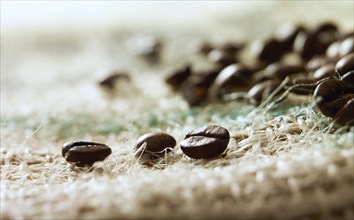 Coffee beans on coffee sack, close-up