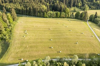 Aerial view of straw bales on a field, Allgäu, Bavaria, Germany, Europe