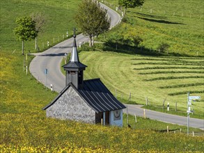 Rural road in blomstering meadows, small chapel, Allgäu, Germany, Europe