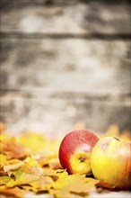 Autumn border from apples and maple leaves on old wooden background