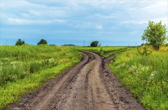 A Countryside landscape with a road. Summertime