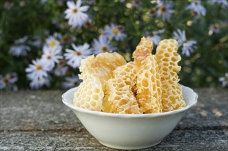 Natural honey in the comb