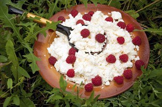 Homemade curd with raspberries