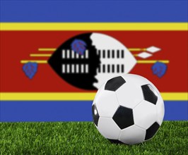 The Swaziland flag and soccer ball on the green grass