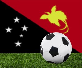 The Papua New Guinea flag and soccer ball on the green grass