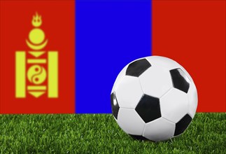 The Mongolian flag and soccer ball on the green grass