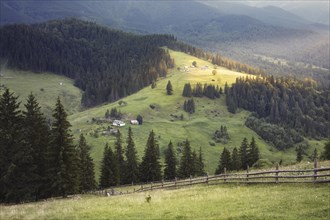 Carpathian mountains rural landscape. Carpathian mountains, Ukraine, Europe