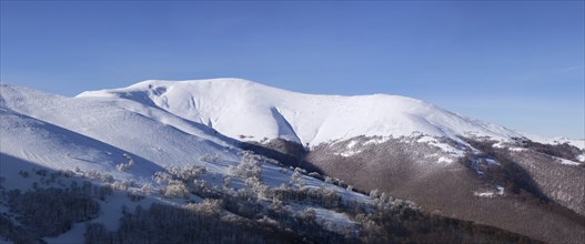 Panorama of Carpathian mountains winter landscape, Ukraine, Europe