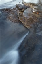 Rocky river background