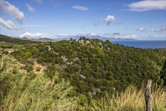 Great typical Greek landscape, Mediterranean nature of Greece. Landscape shot in the evening,