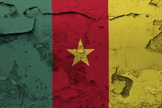 Cameroon flag painted on the cracked grunge concrete wall