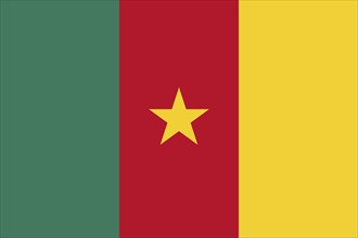 Flag of Cameroon, Vector illustration