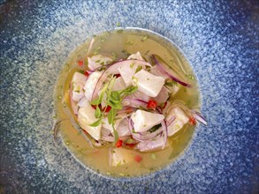 Ceviche of white fish on a plate, onions, Food, Algarve, Portugal, Europe