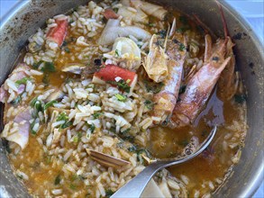 Portuguese rice pan with fish, Arroz de Marisco, mussels, prawns, Food, Algarve, Portugal, Europe