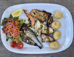 Fish platter, grilled fish, sardines, tuna, salmon, swordfish, squid, octopus, potatoes,