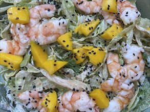 Salad of prawns, mango, rocket, dressing, dressed, food, Algarve, Portugal, Europe