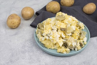 Potato salad on a plate, traditional german party food with eggs, cucumber and mayonnaise