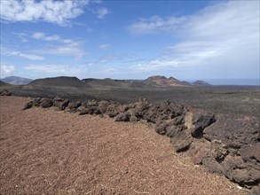 Large desert landscape with reddish soil and black lava rock in the foreground under a blue sky,