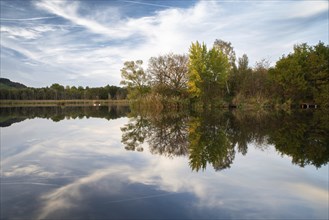 Biodiversity Haff Reimech, wetland and nature reserve in Luxembourg, pond surrounded by reed and