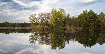 Biodiversity Haff Reimech, wetland and nature reserve in Luxembourg, pond surrounded by reed and