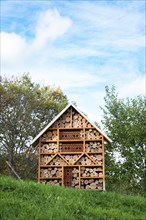 Wooden insect hotel, habitat for bugs and bees, rescue house, environment and ecology conversation,