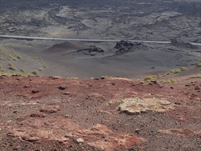 Red-brown volcanic landscape with scattered yellow plants under a grey sky, arrecife, Lanzarote,