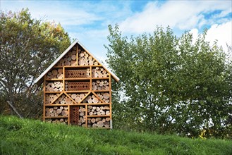 Wooden insect hotel, habitat for bugs and bees, rescue house, environment and ecology conversation,