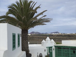 Building with green windows, a palm tree and a wide landscape under a cloudy sky in Lanzarote,