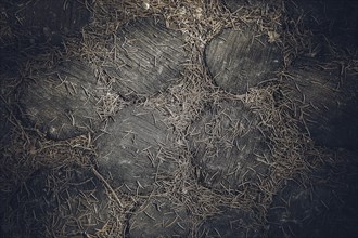 Dark paving stones covered in dry pine needles, creating a rustic and natural feel, background