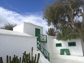 White building with green doors and window frames, surrounded by a tree and cacti under a cloudy