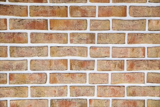 A close-up view of a rustic brick wall with red bricks and white mortar, background image