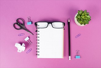 Empty notebook with a pen, eyeglasses and a cactus on a pink colored desk, brainstorming for new