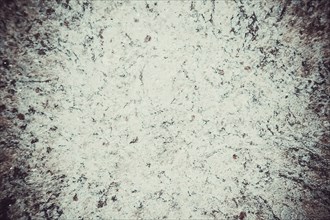 Abstract texture with a rough, speckled pattern in greenish and gray hues, background image