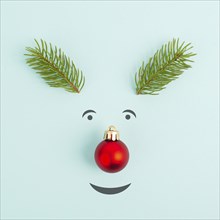 Face of a reindeer with a red bauble nose, fir antlers and friendly eyes, merry christmas greeting