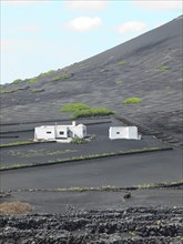 White house with lava stone walls and low plants, embedded in black lava fields, arrecife,