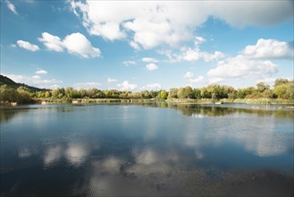 Biodiversity Haff Reimech, wetland and nature reserve in Luxembourg, pond surrounded by reed and